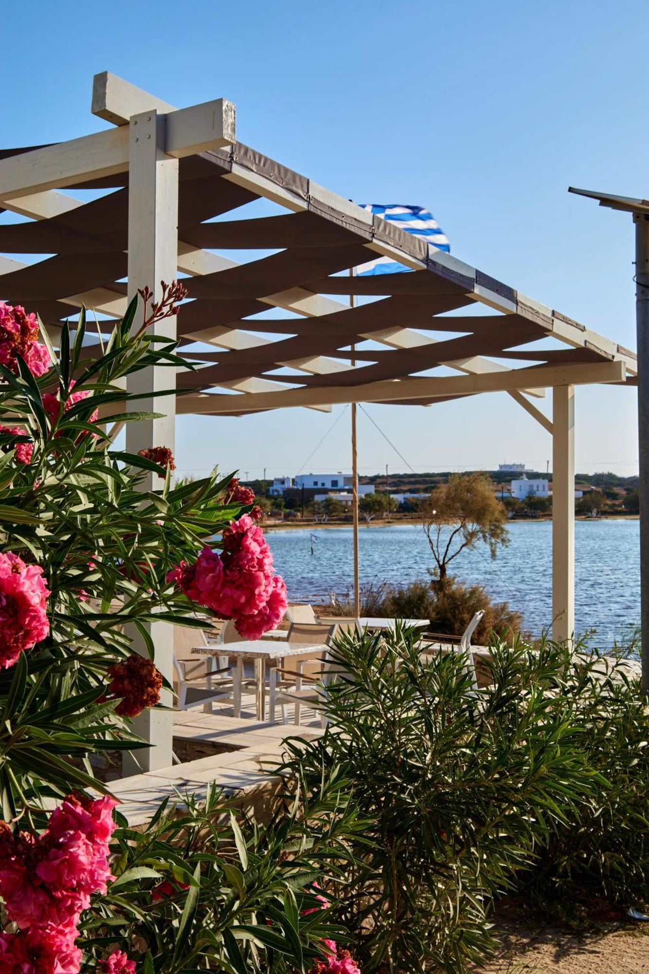 Theologos Apartment Antiparos