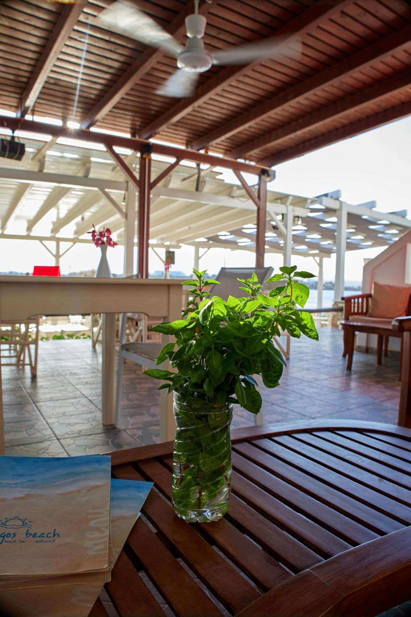 Apartment Theologos Antiparos Town
